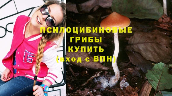 эйфоретик Михайловск