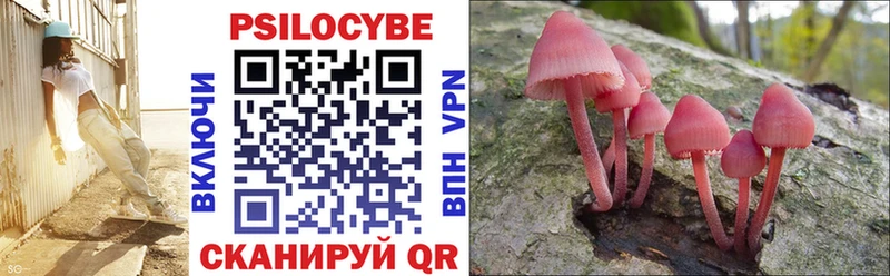 наркота  Звенигово  Галлюциногенные грибы Psilocybine cubensis 